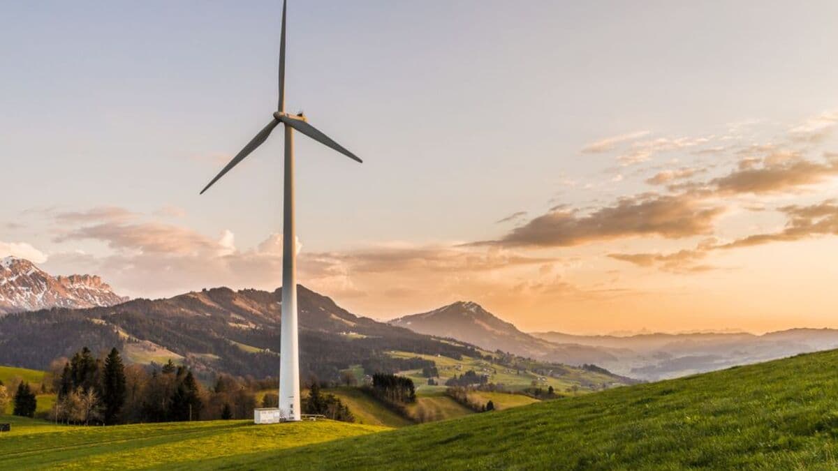 Comunidades energéticas en poligonos industriales: cómo montar una y cuánto ahorra