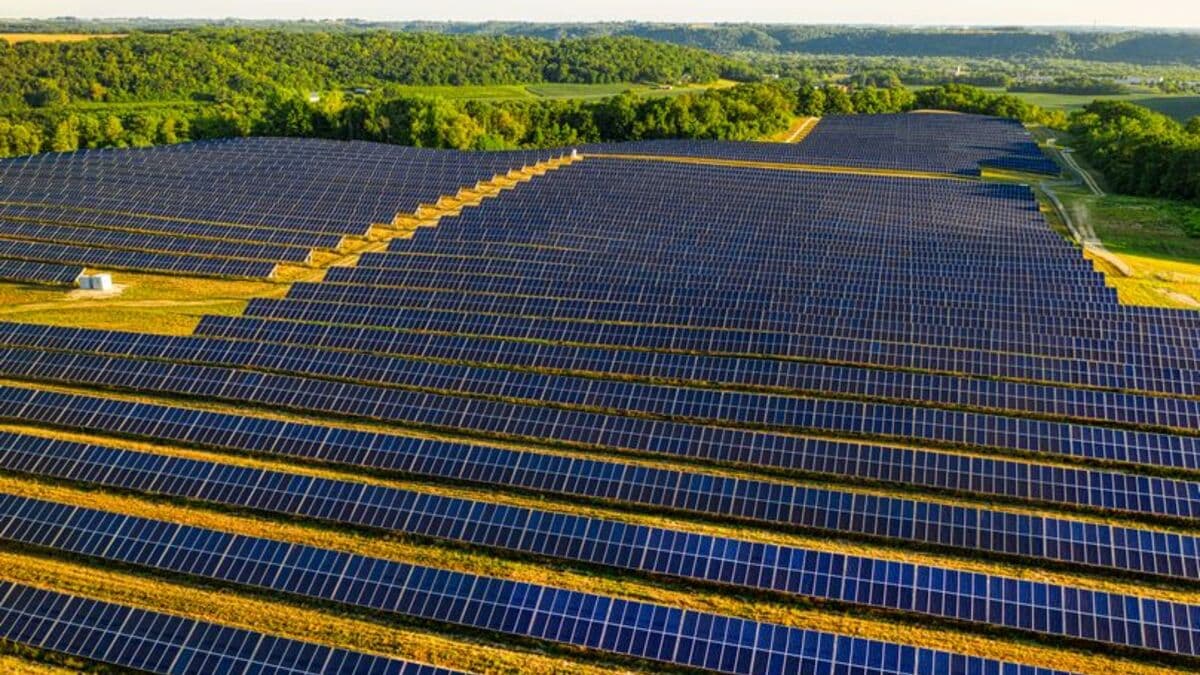 Subvenciones para placas solares en agricultura y ganadería en 2026