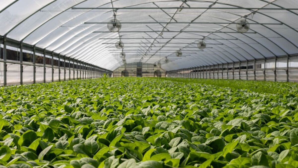 Riego solar fotovoltaico: guía completa para agricultores