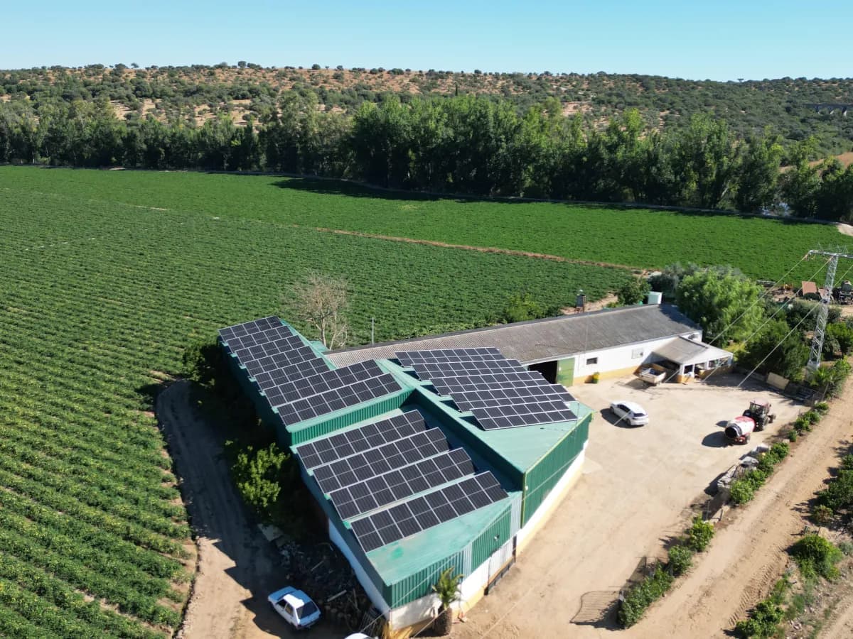 Autoconsumo agrícola en Finca La Moheda