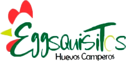 Instalacion solar Eggquisitos